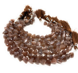 Natural Chocolate Moonstone Gemstone Beads, Chocolate Moonstone Trillion Shape Briolette Beads , Wholesale Beads, 9-10mm, 8"Strand
