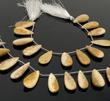 Natural Fossil Coral Gemstone Beads, Jewelry Supplies for Jewelry Making, Wholesale Beads, Bulk Beads, 8” Strand/ 12 Pcs