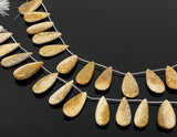 Natural Fossil Coral Gemstone Beads, Jewelry Supplies for Jewelry Making, Wholesale Beads, Bulk Beads, 8” Strand/ 12 Pcs