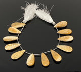 Natural Fossil Coral Gemstone Beads, Jewelry Supplies for Jewelry Making, Wholesale Beads, Bulk Beads, 8” Strand/ 12 Pcs
