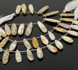 Natural Fossil Coral Gemstone Beads, Jewelry Supplies for Jewelry Making, Wholesale Beads, Bulk Beads, 7.5” Strand/ 13 Pcs