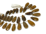Natural Mariam Jasper Gemstone Beads, Jewelry Supplies, Wholesale Bulk Beads , 25mm - 31mm, 8”Strand/ 14 Pcs