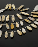 Natural Fossil Coral Gemstone Beads, Jewelry Supplies for Jewelry Making, Wholesale Beads, Bulk Beads, 7.5” Strand/ 13 Pcs