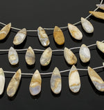 Natural Fossil Coral Gemstone Beads, Jewelry Supplies for Jewelry Making, Wholesale Beads, Bulk Beads, 7.5” Strand/ 13 Pcs