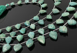 Amazonite Gemstone Beads, Jewelry Supplies forJewelry Making, Wholesale Beads, Bulk Beads, 8" Strand