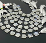 Rainbow Moonstone Beads, Moonstone Briolette Beads, Gemstone Beads, Bulk Wholesale Beads, 14x14mm - 14.5x14.5mm, 8” Strand
