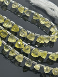 8.5” Lemon Quartz Trillion Shape Briolette Gemstone Beads, Wholesale Bulk Beads