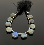 10 Pcs Labradorite Carved Gemstone Beads, Labradorite Shell Shape Briolette Beads for Jewelry Making, 11mm - 12mm