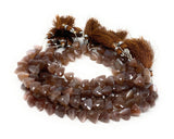 Natural Chocolate Moonstone Gemstone Beads, Chocolate Moonstone Trillion Shape Briolette Beads , Wholesale Beads, 9-10mm, 8"Strand