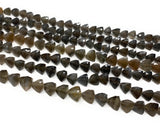 8" Gray Brown Moonstone Gemstone Beads, Gray Moonstone Trillion Shape Briolette Beads, Wholesale Bulk Beads, 8mm-10mm