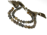8" Gray Brown Moonstone Gemstone Beads, Gray Moonstone Trillion Shape Briolette Beads, Wholesale Bulk Beads, 8mm-10mm