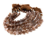 Natural Chocolate Moonstone Gemstone Beads, Chocolate Moonstone Trillion Shape Briolette Beads , Wholesale Beads, 9-10mm, 8"Strand