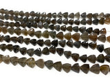 8" Gray Brown Moonstone Gemstone Beads, Gray Moonstone Trillion Shape Briolette Beads, Wholesale Bulk Beads, 8mm-10mm