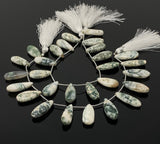 Natural Tree Agate Gemstone Beads, Tree Agate Long Pear Beads, Bulk Wholesale Beads, 8” Str/ 13- 14 Pcs