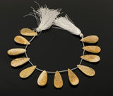 Natural Fossil Coral Gemstone Beads, Jewelry Supplies for Jewelry Making, Wholesale Beads, Bulk Beads, 8” Strand/ 12 Pcs