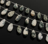 Natural Tree Agate Gemstone Beads, Tree Agate Long Pear Beads, Bulk Wholesale Beads, 8” Str/ 13- 14 Pcs