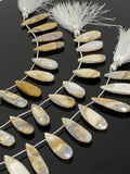 Natural Fossil Coral Gemstone Beads, Jewelry Supplies for Jewelry Making, Wholesale Beads, Bulk Beads, 7.5” Strand/ 13 Pcs