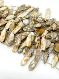 Natural Fossil Coral Gemstone Beads, Jewelry Supplies for Jewelry Making, Wholesale Beads, Bulk Beads, 7.5” Strand/ 13 Pcs