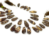 Natural Coconut Jasper Gemstone Beads, Jewelry Supplies, Wholesale Bulk Beads , 24mm - 35mm, 8.5” Strand/ 13 Pcs