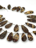 Natural Coconut Jasper Gemstone Beads, Jewelry Supplies, Wholesale Bulk Beads , 24mm - 35mm, 8.5” Strand/ 13 Pcs