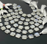 Rainbow Moonstone Beads, Moonstone Briolette Beads, Gemstone Beads, Bulk Wholesale Beads, 14x14mm - 14.5x14.5mm, 8” Strand