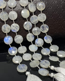 Rainbow Moonstone Beads, Moonstone Briolette Beads, Gemstone Beads, Bulk Wholesale Beads, 14.5mm, 8” Strand