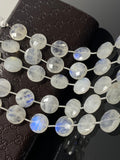 Rainbow Moonstone Beads, Moonstone Briolette Beads, Gemstone Beads, Bulk Wholesale Beads, 14.5mm, 8” Strand