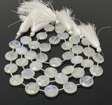 Rainbow Moonstone Beads, Moonstone Briolette Beads, Gemstone Beads, Bulk Wholesale Beads, 14.5mm, 8” Strand
