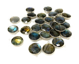 7 Pcs Labradorite Gemstone Charms, Sterling Plated Bulk Charms, Wholesale Jewelry Findings, Jewelry Supplies, 18x15mm - 18.5x15.5mm
