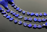 10 Pcs Lapis Lazuli Faceted Fancy Slice Beads, Natural Lapis Lazuli Gemstone Beads for Jewelry Making, 15x10mm - 18x14mm