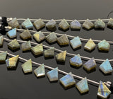 10 Pcs Labradorite Faceted Fancy Slice Beads, Labradorite Gemstone Beads for Jewelry Making