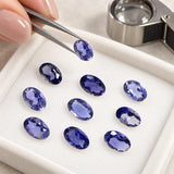 10 Pieces natural iolite faceted oval cut stones displayed on a white gemstone tray with tweezers, approximately 5x3.75mm each