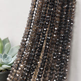 Dark smoky quartz gemstone strands with reflective facets displayed beside a succulent