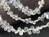 Rainbow Moonstone Beads, Moonstone Beads, Gemstone Beads, Jewelry Supplies, Wholesale Beads, AAA+ Quality, 7x6mm -10x7mm, 9.75" Strand