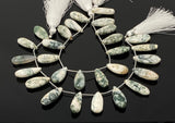 Natural Tree Agate Gemstone Beads, Tree Agate Long Pear Beads, Bulk Wholesale Beads, 8” Str/ 13- 14 Pcs