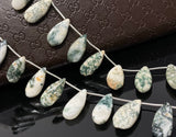 Natural Tree Agate Gemstone Beads, Tree Agate Long Pear Beads, Bulk Wholesale Beads, 8” Str/ 13- 14 Pcs