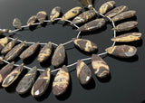 Natural Coconut Jasper Gemstone Beads, Jewelry Supplies, Wholesale Bulk Beads , 24mm - 35mm, 8.5” Strand/ 13 Pcs
