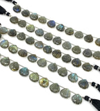 10 Pcs Labradorite Carved Gemstone Beads, Labradorite Shell Shape Briolette Beads for Jewelry Making, 11mm - 12mm