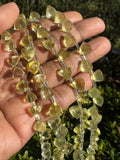 8.5” Lemon Quartz Trillion Shape Briolette Gemstone Beads, Wholesale Bulk Beads