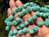 8.5” Peruvian Amazonite Trillion Shape Briolette Gemstone Beads, Wholesale Bulk Beads, 8mm-9mm